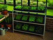 Seed tray rack